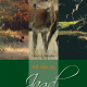 Cover des E-Books 'All das ist Jagd' mit drei Abbildungen von einem Wildschwein, Reh und Hirsch