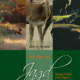 Cover des Buches 'All das ist Jagd' mit drei Abbildungen von einem Wildschwein, Reh und Hirsch