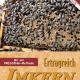 Cover des Buches 'Ertragreich Imkern' mit Bienen auf Bienenstock