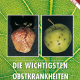 Cover des Buches
