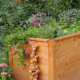 Ein Hochbeet aus Holz befüllt mit vielen Blumen und Kräutern