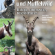 Cover des Buches 'Gams-, Stein- und Muffelwild' mit vier Abbildungen von Gämsen und Steinböcken
