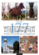 Cover des Buches '177 weststeirische Kostbarkeiten' mit Bildern von Pferden, einer Aussichtswarte, eines Schlosses und einer Ausgrabungsstätte