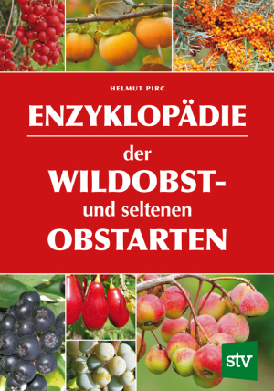 Insel-Stil Besen zum Kehren nasser Blätter oder Schnee, 100% natürlicher  Kokosnuss-Gartenbesen, Gärtner oder Kinderbesen, Bauernhaus-Hintertür-Dekor  - .de