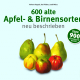 Cover des Buches '600 alte Apfel- und Birnensorten' mit je drei gezeichneten Äpfeln und Birnen