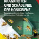 Cover des Buches 'Krankheiten und Schädlinge der Honigbiene' mit Bienen, die bei einer Scheibe landen