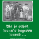 Cover des Buches 'Wa jo schod, wonn´s vagessn wurad' mit einer alten schwarz-weiß Aufnahme mit acht Menschen auf grünem Hintergrund