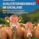 Cover des Buches 'Green Beef - Qualitätsrindermast' mit braunen Rindern