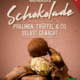 Cover des Buches 'Grundkurs Schokolade' mit verschiedenen Stücken Schokolade und Pralinen
