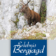 Cover des E-Books 'Erlebnis Bergjagd' mit einem Hirsch auf einem Berg