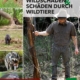 Cover des E-Books 'Wildschäden und Schäden durch Wildtiere' mit einem Jäger und fünf kleinen Abbildungen links mit verschiedenen Wildtieren