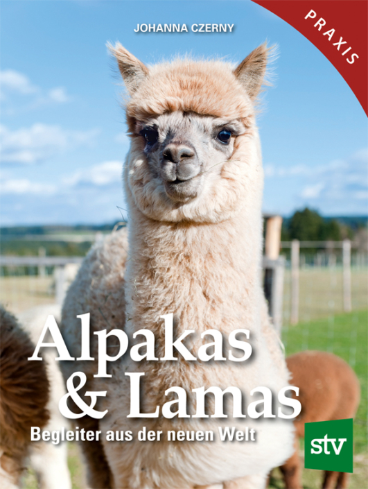 Unterschiede zwischen Alpakas und Lamas - Stocker-Verlag