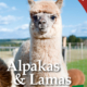 Cover des Buches 'Alpakas und Lamas' mit einem Alpaka