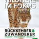 Cover des Buches 'Wildtiere im Fokus' mit einem Luchs im Schnee