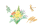 Illustration von Blumen und Gräsern