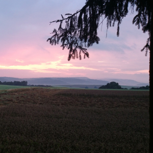 Landschaft in der Dämmerung