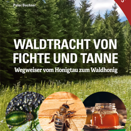 Cover des Buches 'Waldtracht von Fichte und Tanne' mit einem Wald. Unten drei Kreise mit zwei Abbildungen von Insekten und einem Honigglas