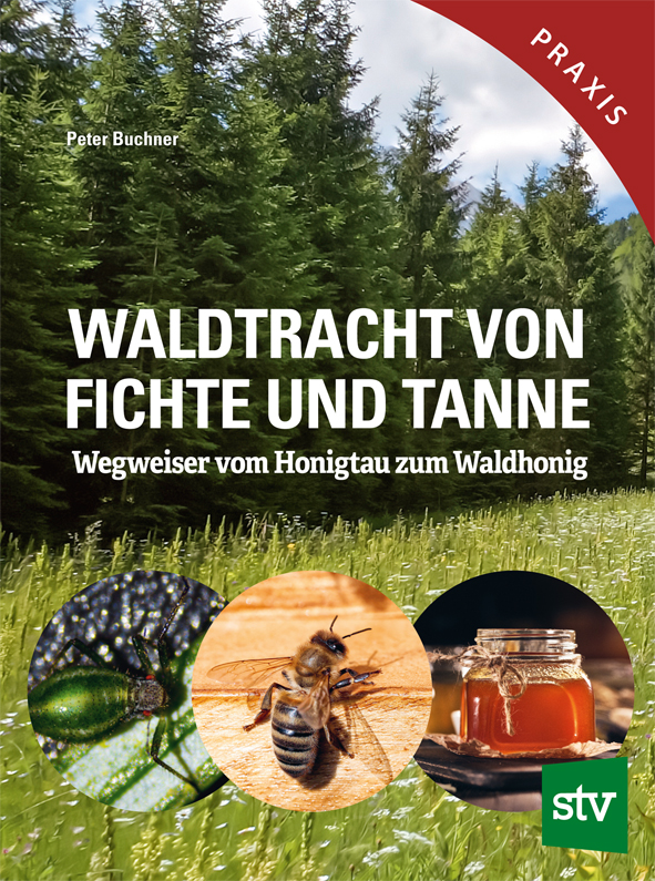 Cover des Buches 'Waldtracht von Fichte und Tanne' mit einem Wald. Unten drei Kreise mit zwei Abbildungen von Insekten und einem Honigglas