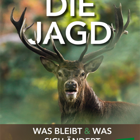 Cover des Buches 'Die Jagd' mit einem Hirsch