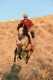 Reiter auf einem braunen Pferd, das durch eine vertrocknete Graslandschaft reitet