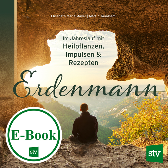 Cover des E-Books 'Erdenmann' mit einem Mann der auf einem Felsen sitzt und in die Landschaft blickt