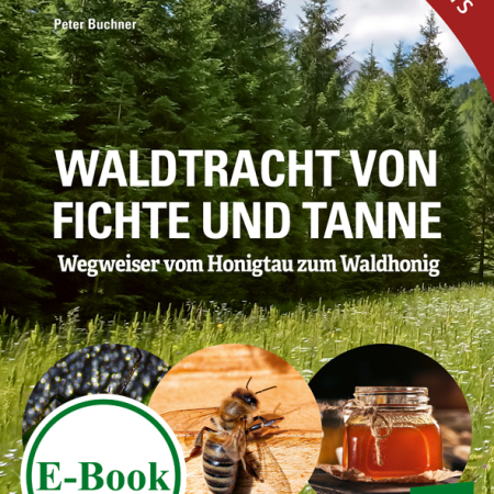 Cover des E-Books 'Waldtracht von Fichte und Tanne' mit einem Wald. Unten drei Kreise mit zwei Abbildungen von Insekten und einem Honigglas