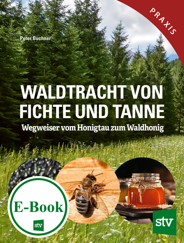 Cover des E-Books 'Waldtracht von Fichte und Tanne' mit einem Wald. Unten drei Kreise mit zwei Abbildungen von Insekten und einem Honigglas
