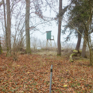 Ein Hochsitz im Wald im Herbst.