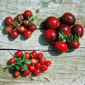 Rote Beeren die auf einem Tisch liegen.