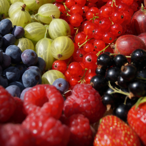 Verschiedene Beerenarten (Heidelbeeren, Himbeeren, Preiselbeeren, Erdbeeren, Schwarzbeeren und Stachelbeeren) liegen auf einem Haufen.