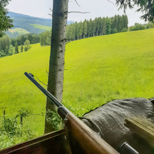 Ein Gewehrlauf auf einem Hochsitz