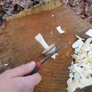 Eine Hand die ein Schnitzmesser hält und aus einem Holzstück einen Pilz schnitzt.