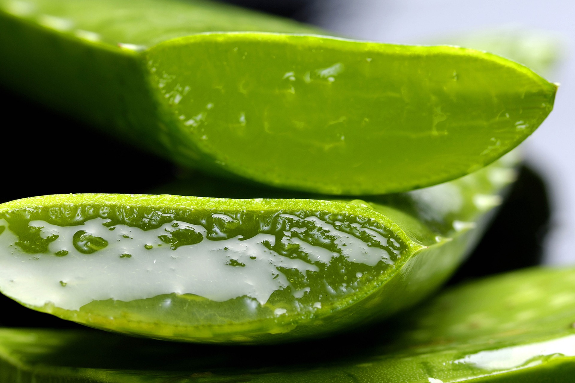 aufgeschnittene Aloe vera Blätter
