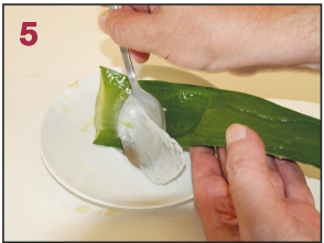 das Gel des Aloe vera Blattes wird mit einem Löffel entfernt