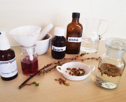 mehrere gefüllte Gefäße, etwa kleine braune Fläschchen mit Alkohol, Glycerin und Gemmo-Mazerat auf einem Tisch