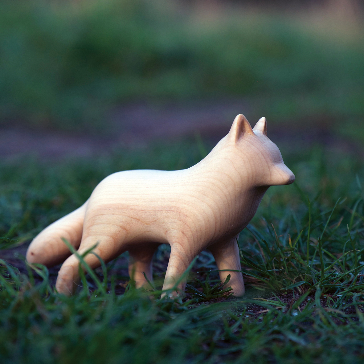 Einfach Tiere schnitzen73_C_Wouter de Bruijn, Hintergrund shutterstock_Goderuna