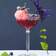 Ein durchsichtiges Cocktailglas, gefüllt mit rotem Salbeiblütensirup, Erdbeersorbet und Heidelbeeren