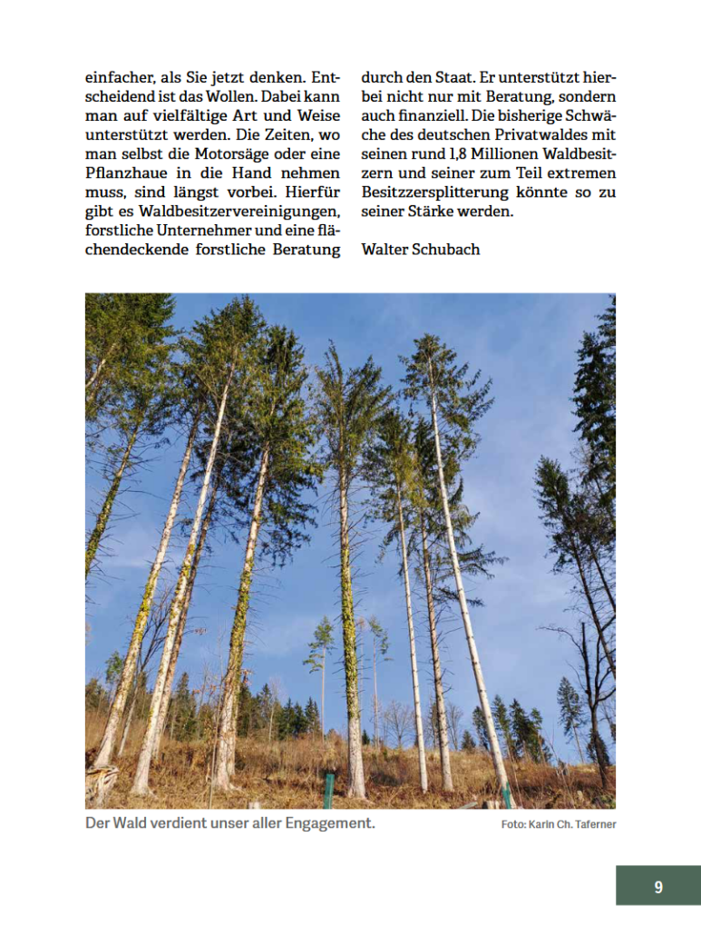 Innenansicht des Buches 'Wald im Wandel'