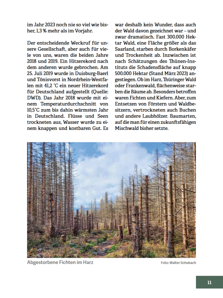 Innenansicht des Buches 'Wald im Wandel'