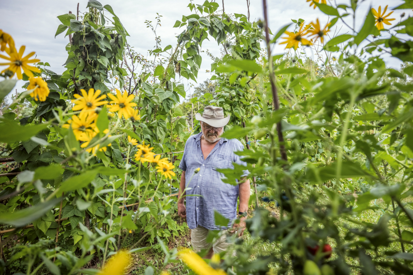 Sepp Holzer steht mitten in seinem Garten, umgeben von Blumen und Pflanzen
