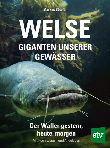 Cover des Buches 'Welse - Giganten unserer Gewässer' mit einem Wels im Wasser