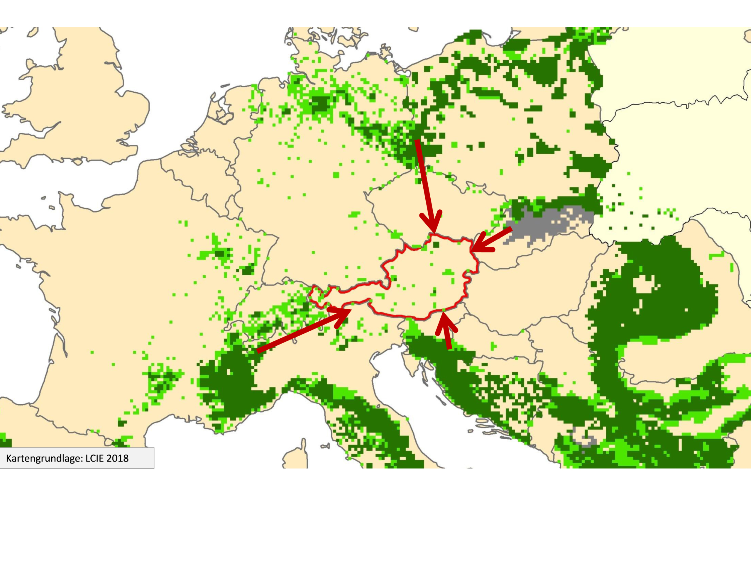 Karte von Europa, auf der man die Wolfsvorkommen sieht. Vier rote Pfeile markieren die Wanderrouten einzelner Wölfe von den benachbarten Ländern nach Österreich