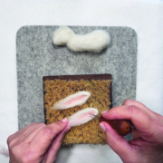 Ein quadratisches Stück Filz liegt auf einem weißen Tisch. Darauf liegt der gefilzte Körper des Kaninchens, daneben liegen zwei gefilzte Ohren auf einer Bürstenunterlage.