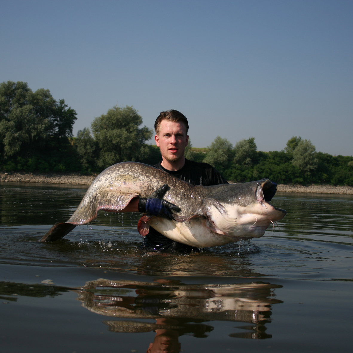 S91_C_Max Konze Ein Herr der im Wasser steht und einen riesigen Wels in der Hand hält