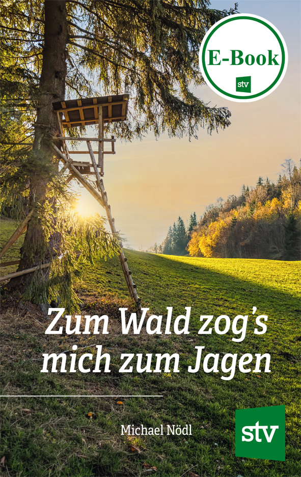 STV Zum Wald zogs mich zum Jagen Umschlag.indd Cover des Buches "Zum Wald zog's mich zum Jagen" mit einem Wald, Jägersteig und Sonneneinstrahl